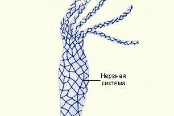 Kraken ссылка актуальная