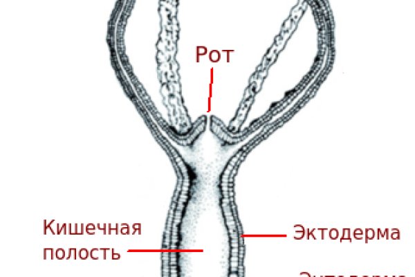 Кракен клир